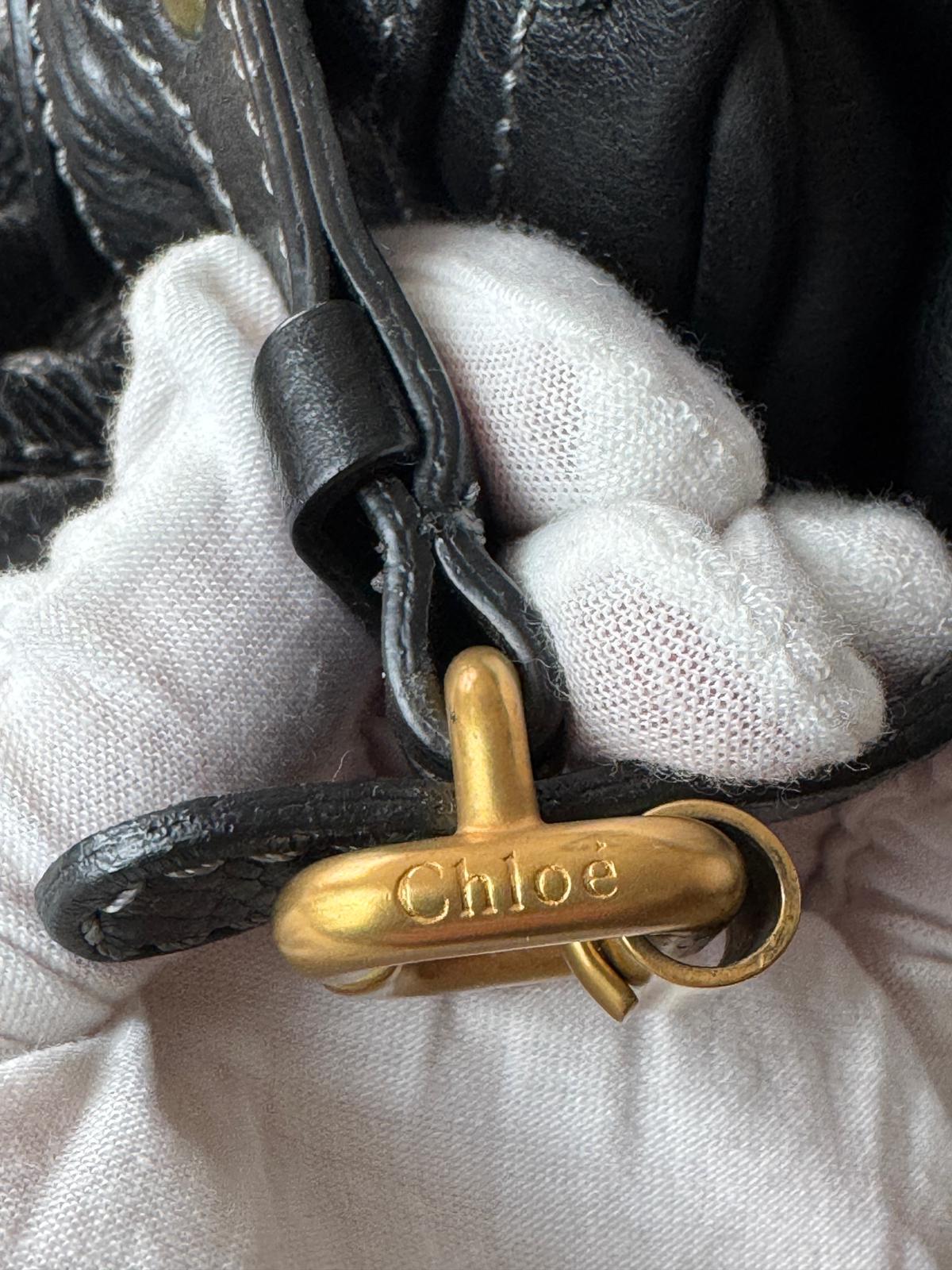 Chloe Paddington
