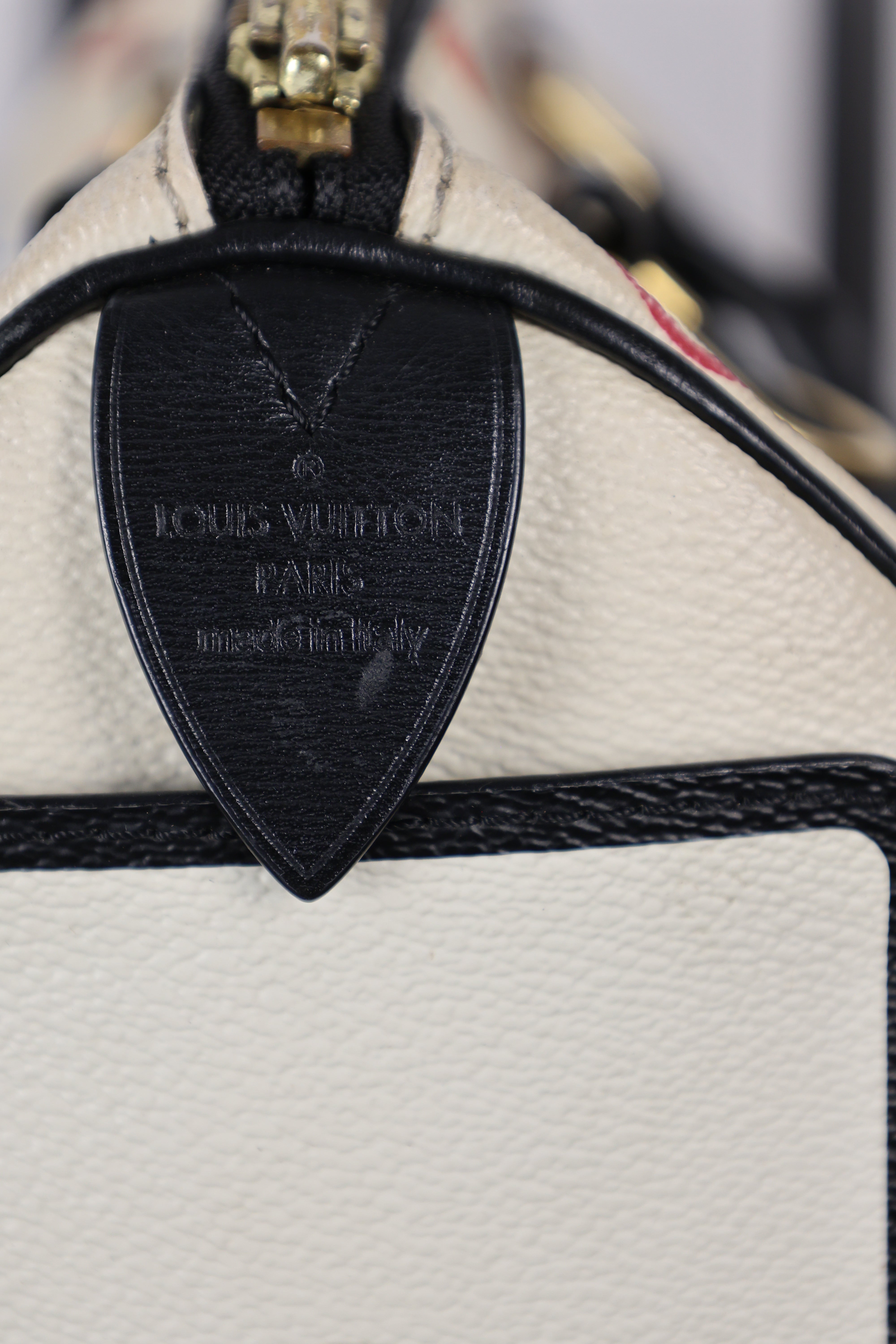 LOUIS VUITTON SPEEDY 25 GAME ON